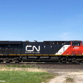 2991 Andrew Paterson May 28 2021 Winnipeg  MB