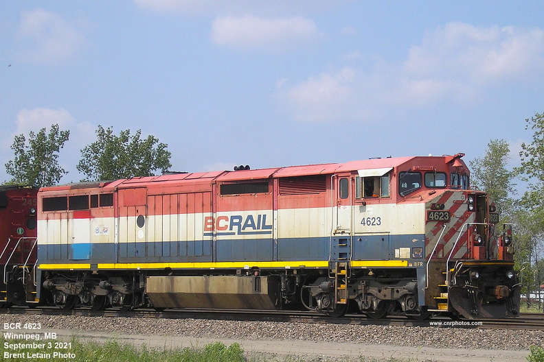 4623.jpg