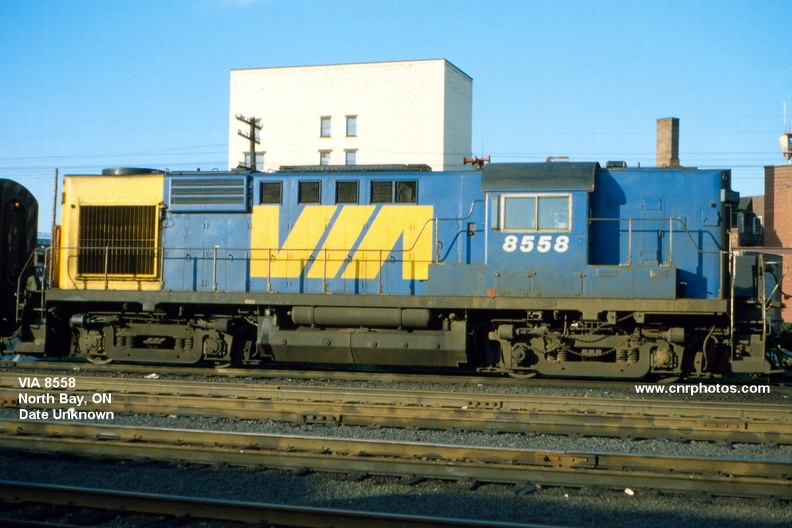 8558.jpg